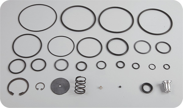 DORSE KONTROL VALFİ TAMİR TAKIMI