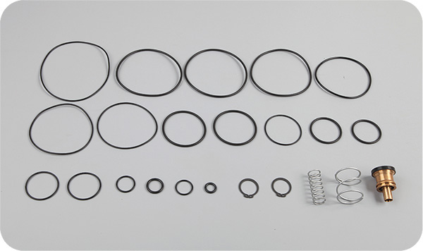 DORSE KONTROL VALFİ TAMİR TAKIMI